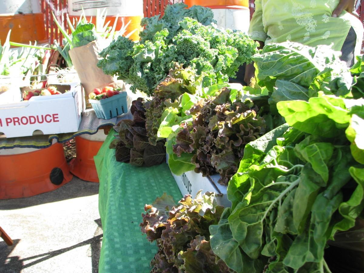 Local author publishes book on the surprising ties between racism and lettuce
