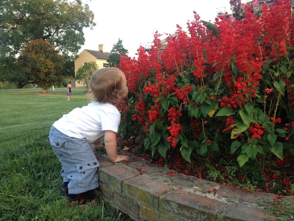 There is always time to stop and smell the flowers at Jazz on the Lawn at Riversdale Mansion, according to Emmett Palus (pictured). "Jazz on the Lawn" is a program offered by the <a href="http://history.pgparks.com/sites_and_museums/Riversdale_House_Museum.htm" target="blank">Riversdale House Museum</a> on various Wednesdays in the summer. Photo of courtesy Matt Palus.