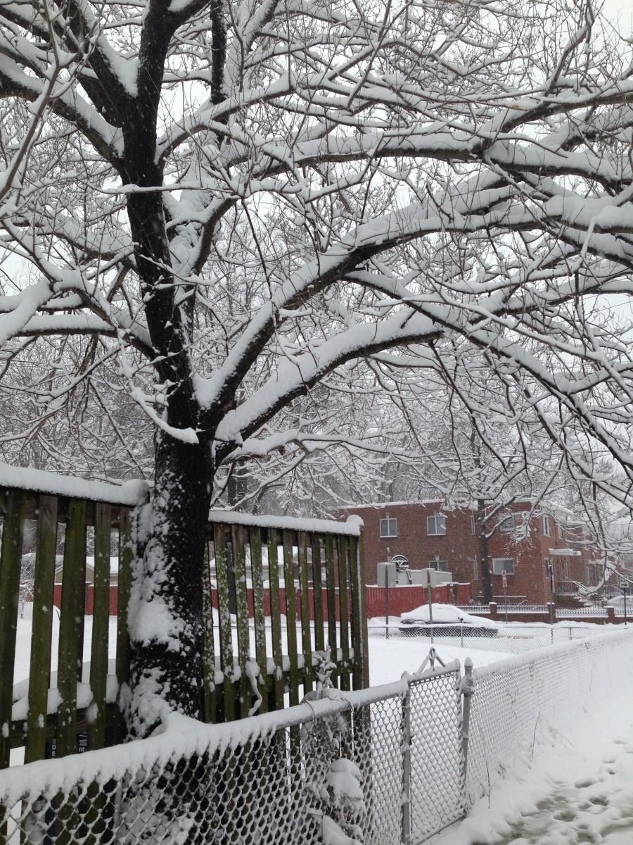 Photo courtesy Caroline Selle.