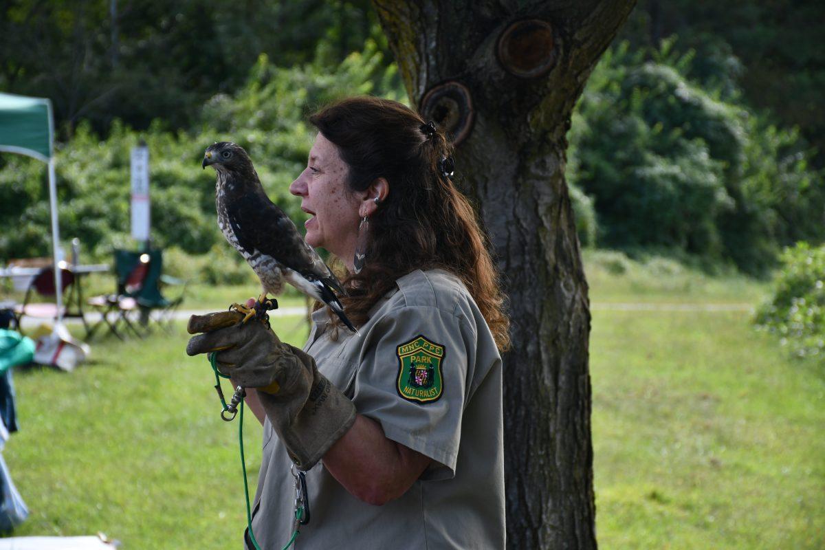  Paula McNeil from Watkins Youth Birding Club showing visitors at Lake Artemesia a broad winged hawk
Courtesy of Lilly Howard