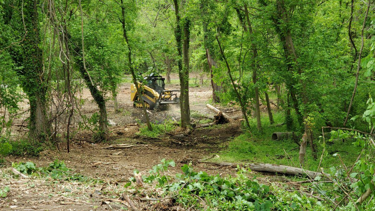 Laurel 4 the Patuxent cleared the invasive plants near the Laurel Museum.
Courtesy Photo Laurel for the Patuxent
