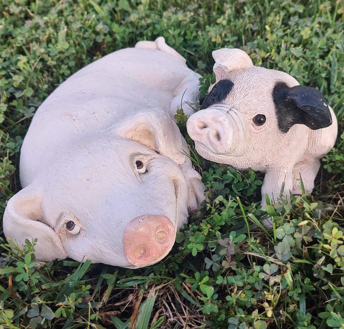 Every pig has its Saturday.
Photo Credit: Bob Reilly
