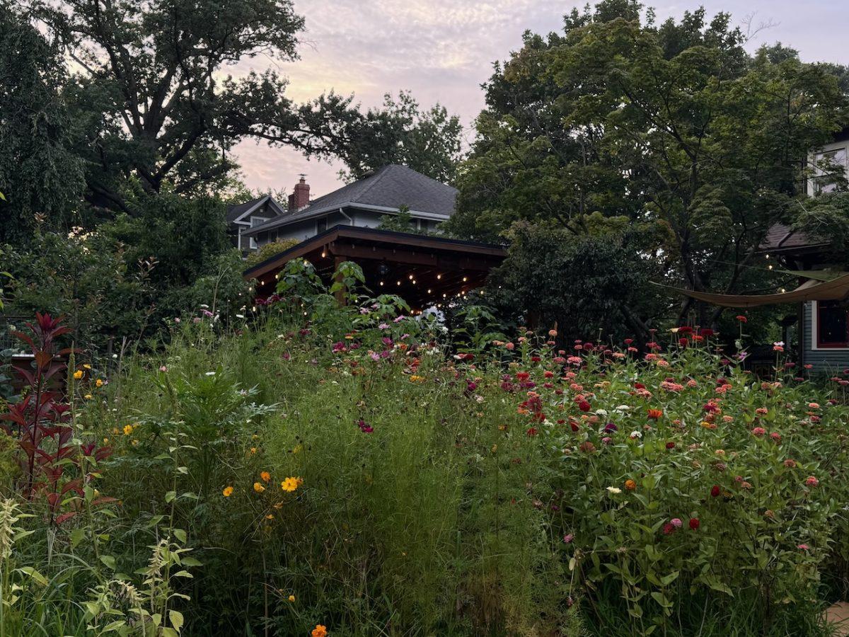 Bolstered by community support, Bloomsday Farm pushes through garden disease 