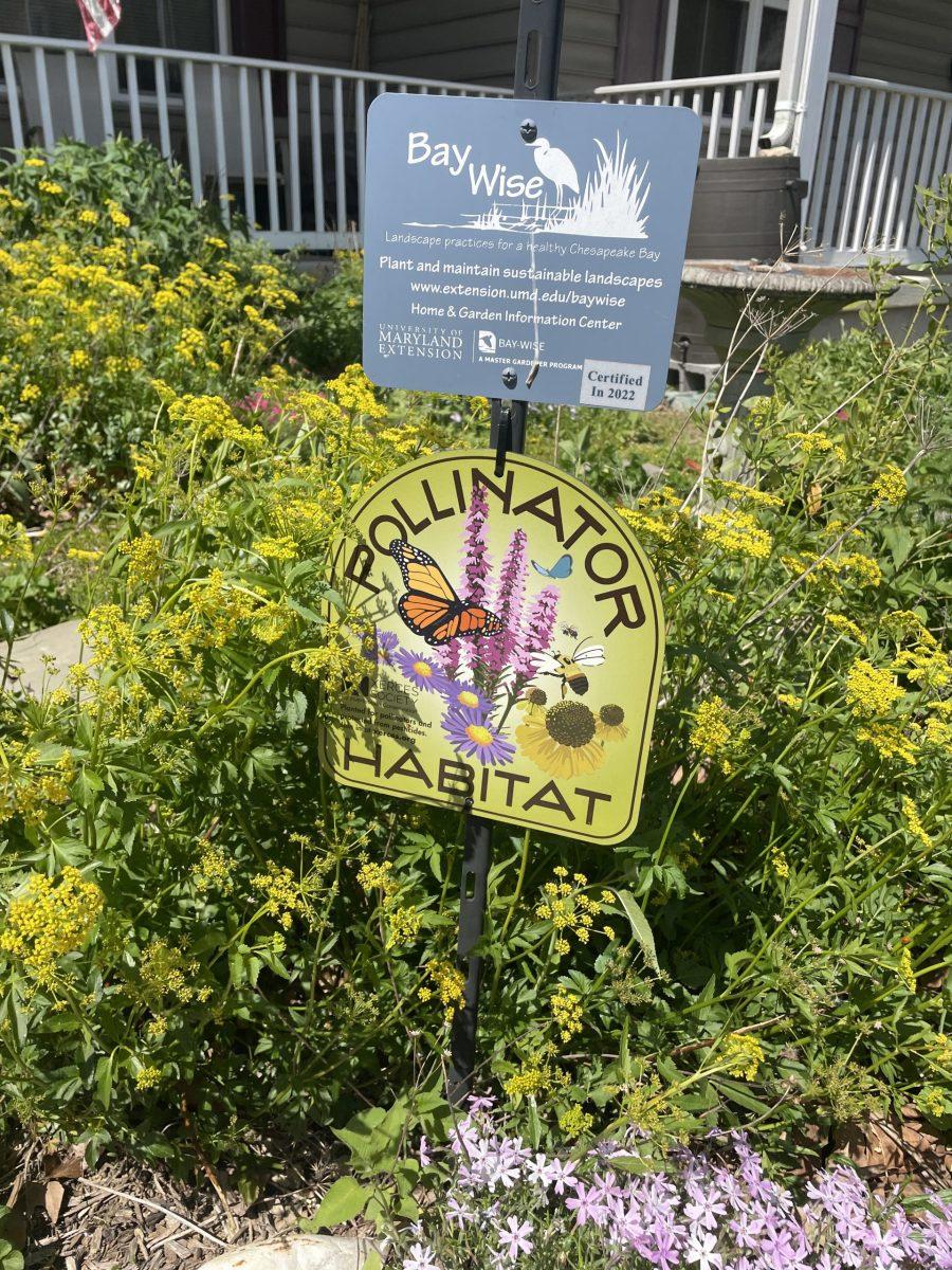 An example of the Bay-Wise sign you can proudly display once your yard is certified.

