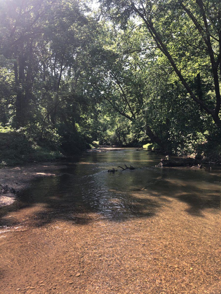 My first photo of the Patuxent River, which I took shortly after moving to Laurel.
