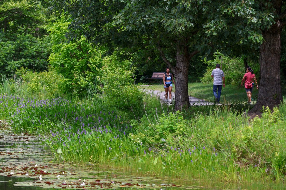 The trails surrounding Lake Artemesia are busy once the weather turns warm. The lake and the natural area around it have a rich history. Photo by JONATHAN PETER BELLING